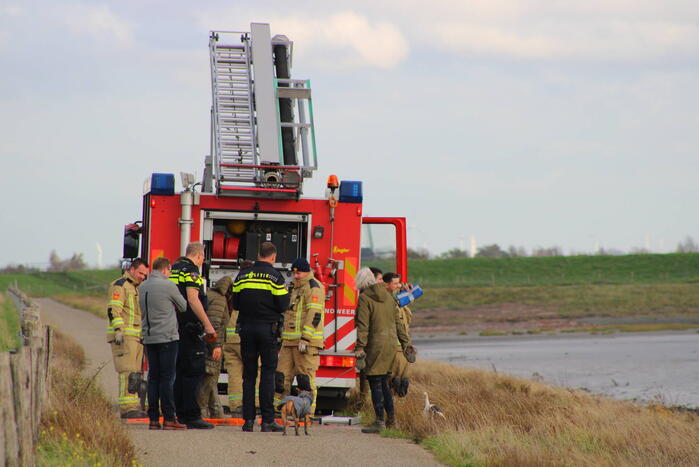 Mensen en hond vast op zandplaat
