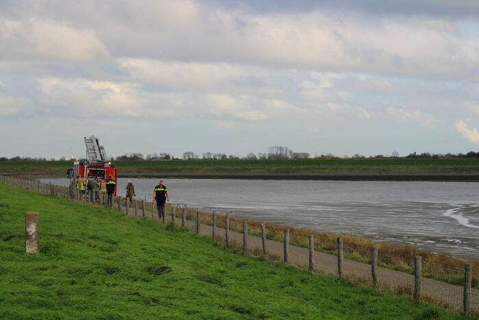 Mensen en hond vast op zandplaat