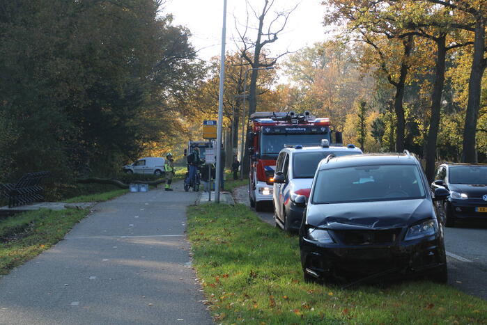 Voertuig beschadigd door omgevallen boom