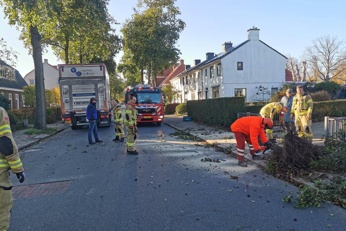 Vrachtwagen ramt boom bij uitwijkmanoeuvre