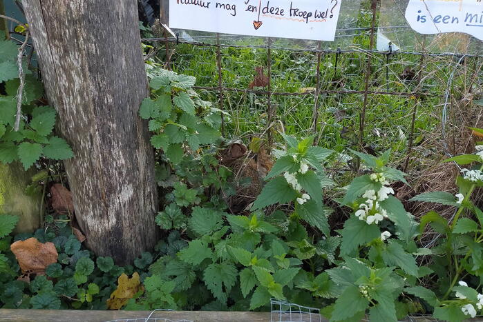 Bewoners buurtschap Dal-Bilsen protesteren
