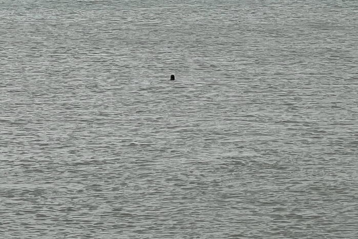Vrouw uit het water gehaald