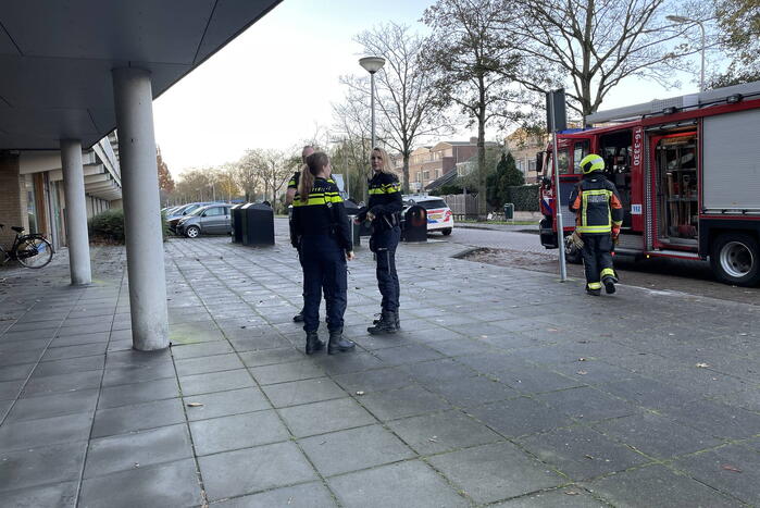 Rookmelder gaat af door pan op het vuur