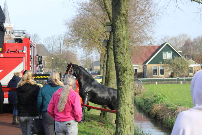 Paard uit sloot gered door brandweer