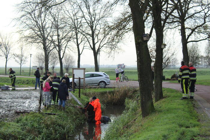 Paard uit sloot gered door brandweer