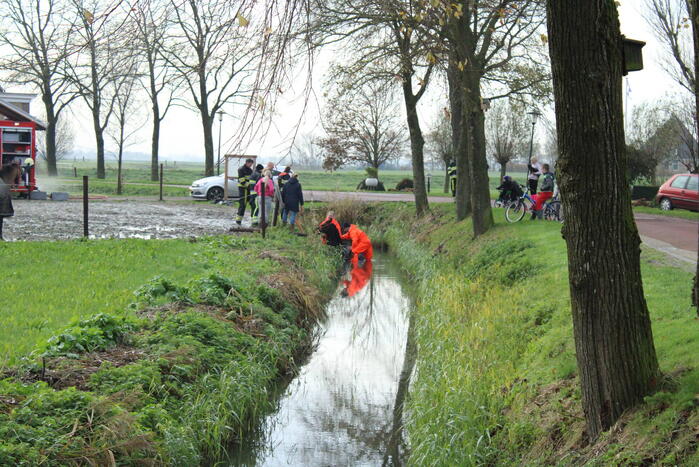 Paard uit sloot gered door brandweer