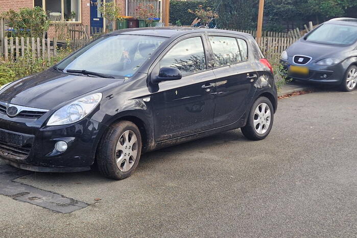 Automobilist schrikt en rijdt tuin in