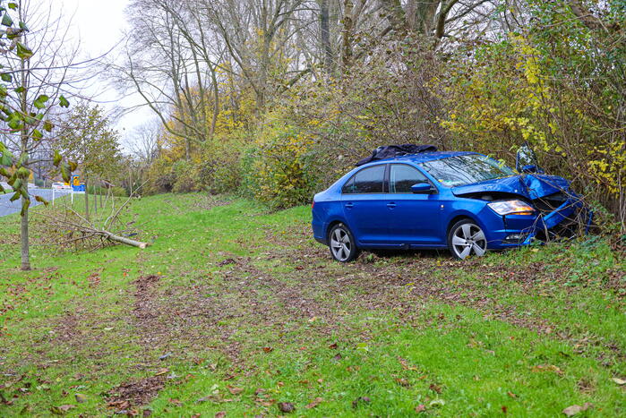 Automobilist raakt van weg en botst frontaal tegen boom