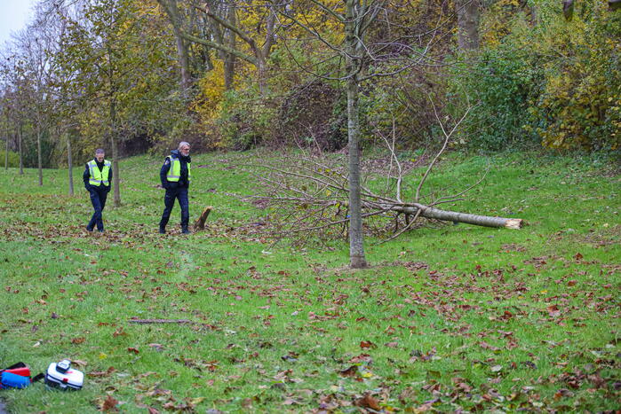 Automobilist raakt van weg en botst frontaal tegen boom