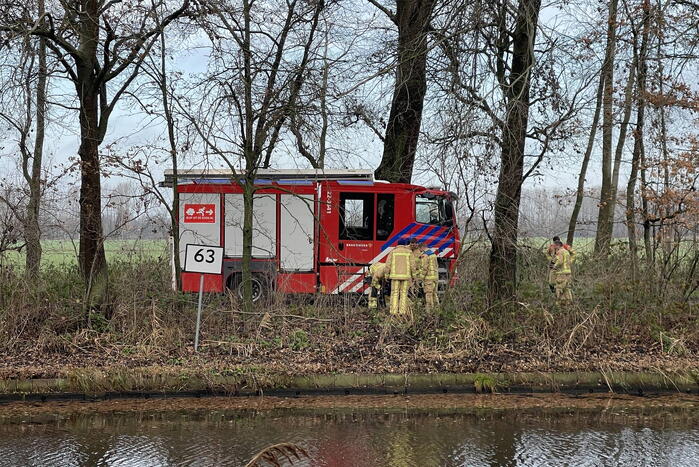 Reddingsactie komt te laat voor hert