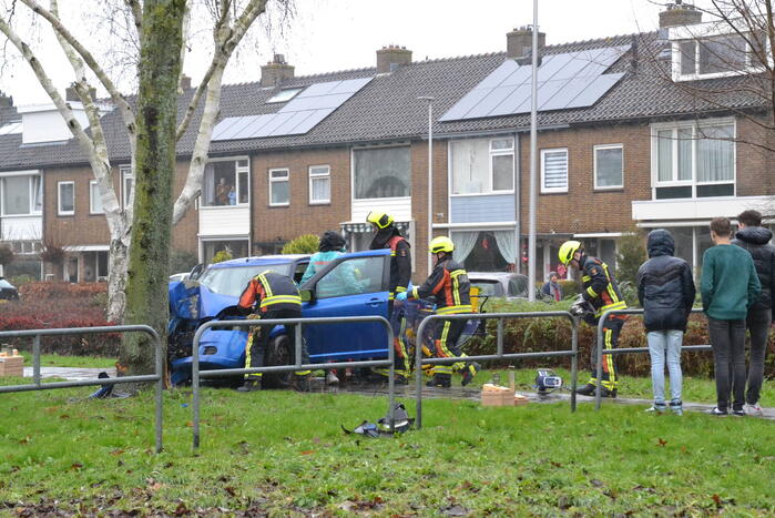 Auto klapt frontaal op boom