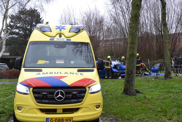 Auto klapt frontaal op boom