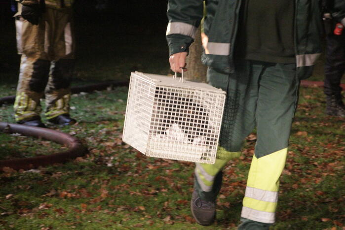 Grote brand verwoest twee woningen