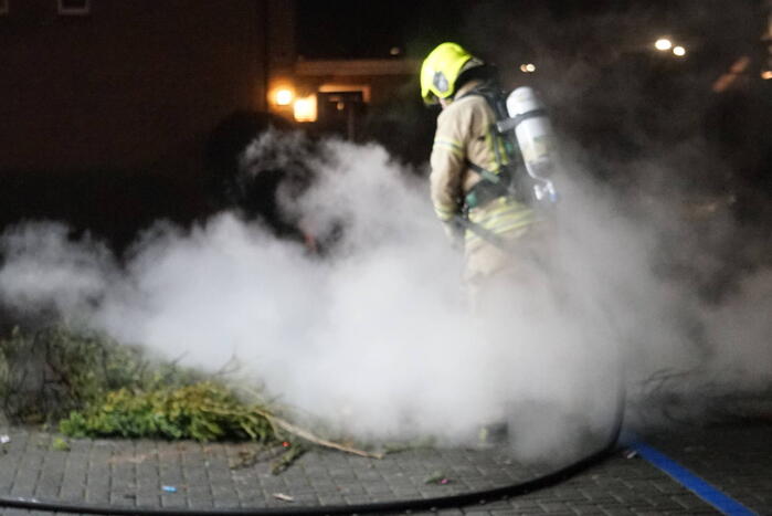 Kerstbomen in brand gestoken