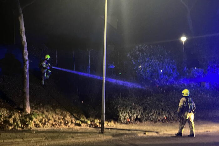 Buurtbewoners doen bluspoging brandende heg