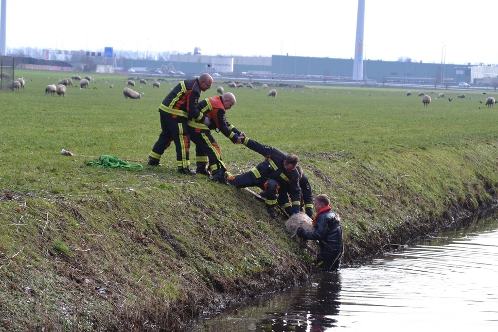 Beijerincklaan - N453 Nieuws Waddinxveen 