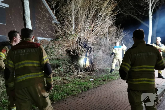Brandweer blust brandende boom