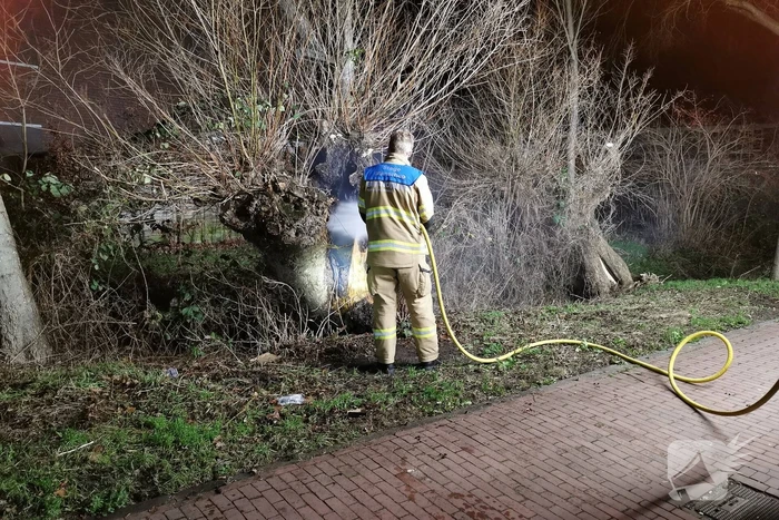 Brandweer blust brandende boom