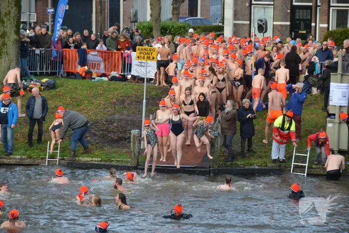 Grote drukte bij nieuwjaarsduik