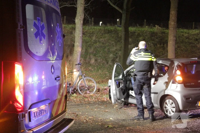 Auto raakt boom na uit de bocht vliegen