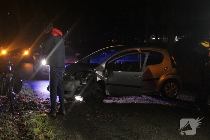 Auto raakt boom na uit de bocht vliegen