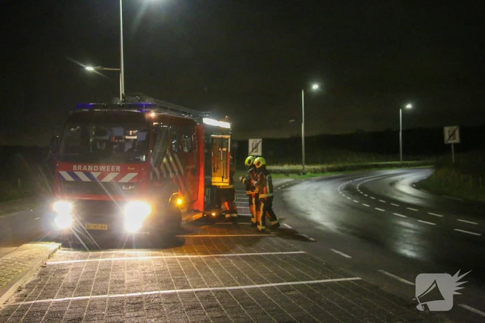 Meerdere kerstbomen in brand gestoken in duingebied