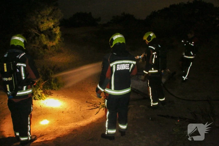 Meerdere kerstbomen in brand gestoken in duingebied