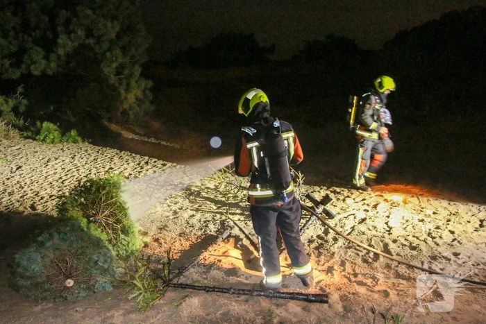 Meerdere kerstbomen in brand gestoken in duingebied