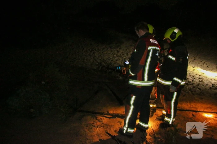 Meerdere kerstbomen in brand gestoken in duingebied