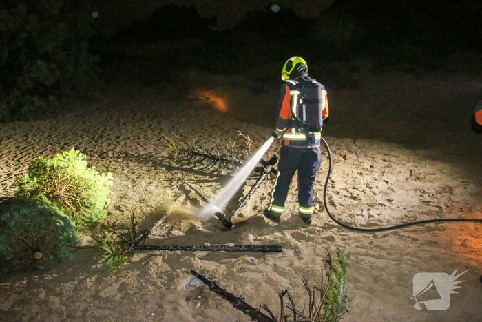 Meerdere kerstbomen in brand gestoken in duingebied