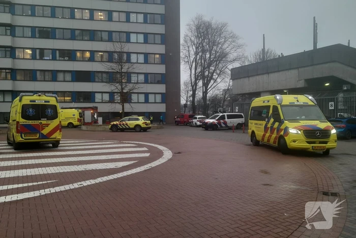 nieuws montessoriweg rotterdam
