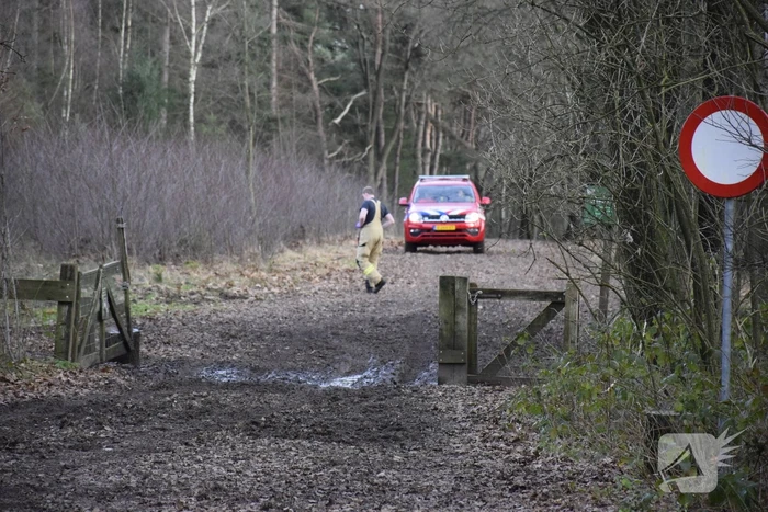 Ruiter ten val in bosgebied