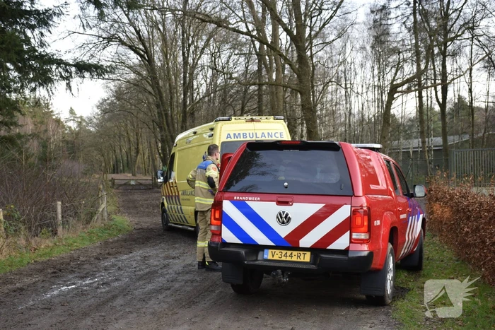 Ruiter ten val in bosgebied