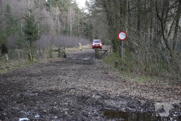 Ruiter ten val in bosgebied