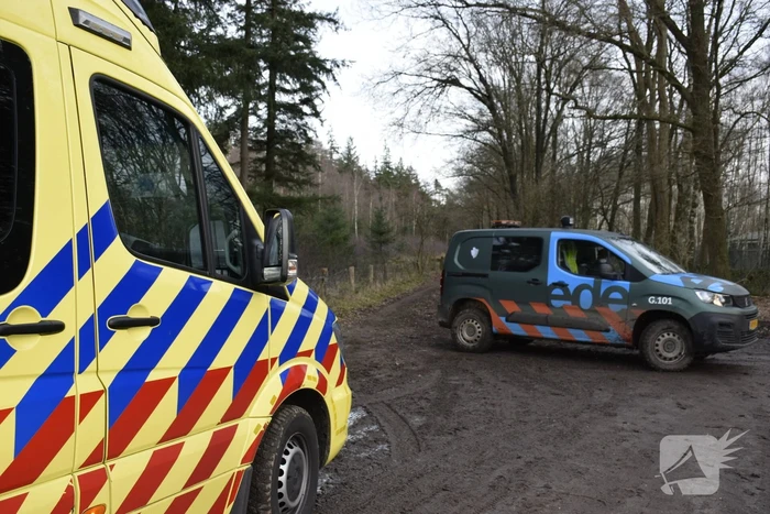 Ruiter ten val in bosgebied