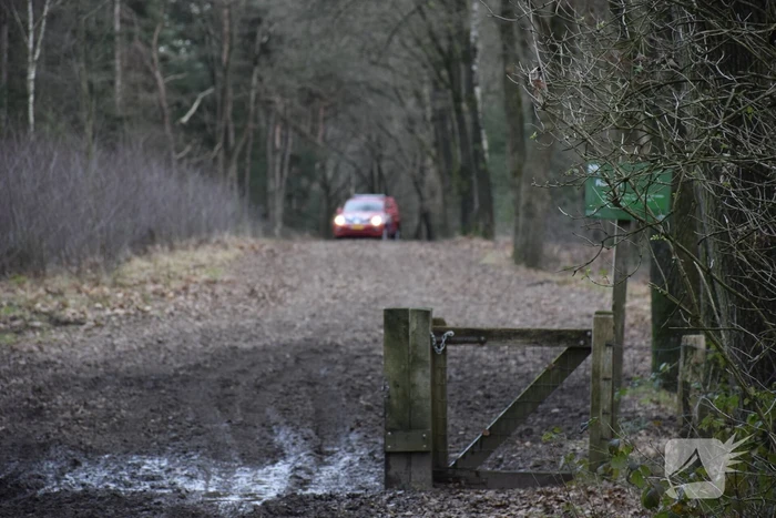 Ruiter ten val in bosgebied