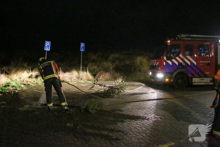 Stapel kerstbomen in brand
