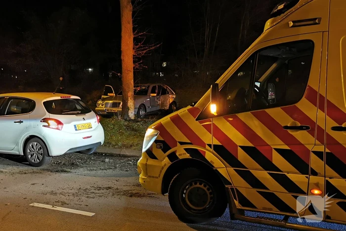 Auto raakt van weg en ramt boom