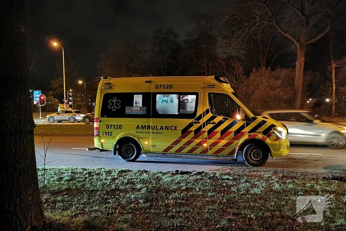 Auto raakt van weg en ramt boom