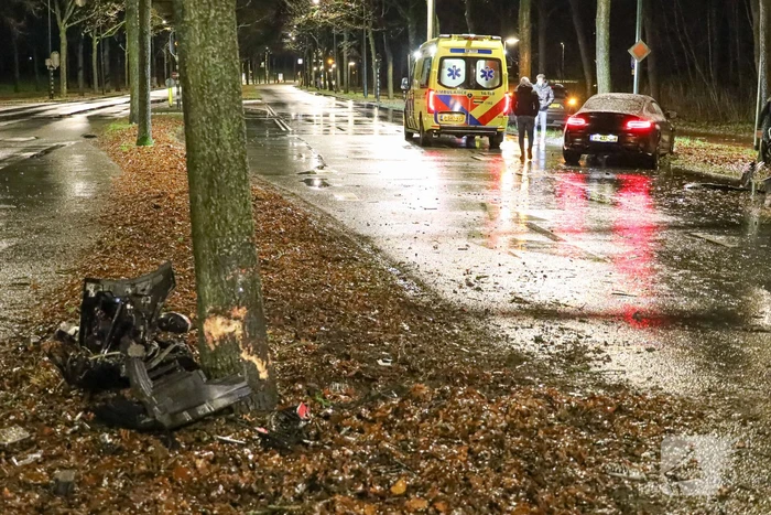 Flinke schade na botsing tegen boom