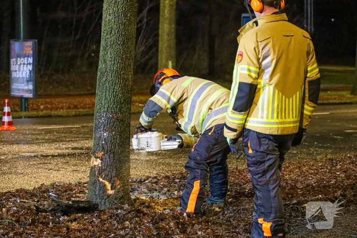 Flinke schade na botsing tegen boom