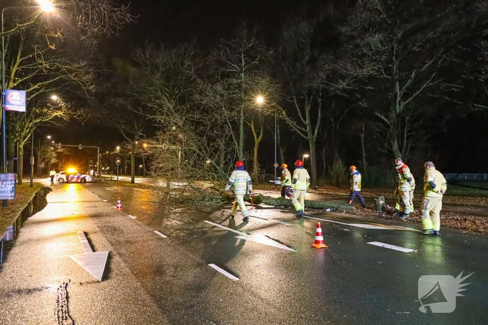 Flinke schade na botsing tegen boom