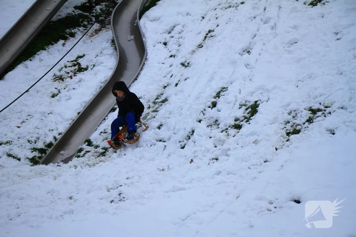 Winters weer zorgt voor sneeuwpret in Weert