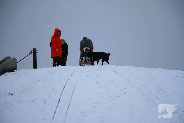 Winters weer zorgt voor sneeuwpret in Weert