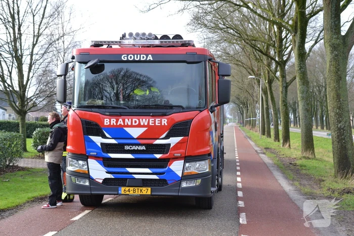Brandweer redt schaap uit een sloot