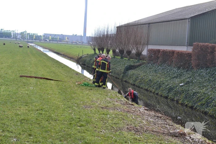 Brandweer redt schaap uit een sloot
