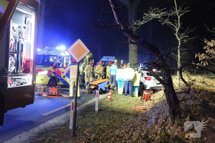 Gewonde en flinke schade na botsing tegen boom