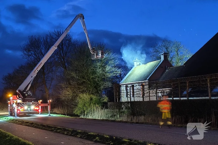 brand hegedyk weidum