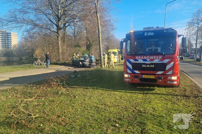 Auto raakt van de weg en botst tegen boom
