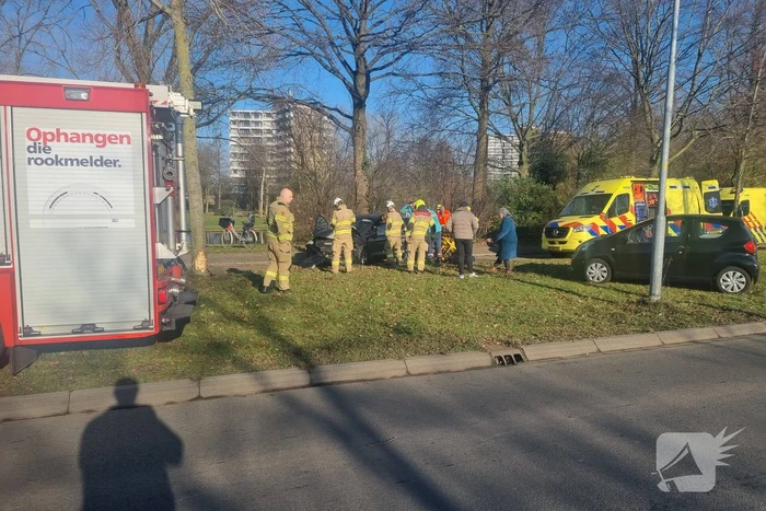 Auto raakt van de weg en botst tegen boom